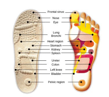 Reflex Zone Footbed 按摩鞋墊| Finn Comfort